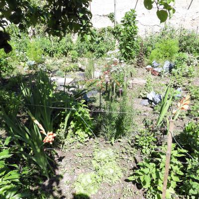 visite de jardins 2022
